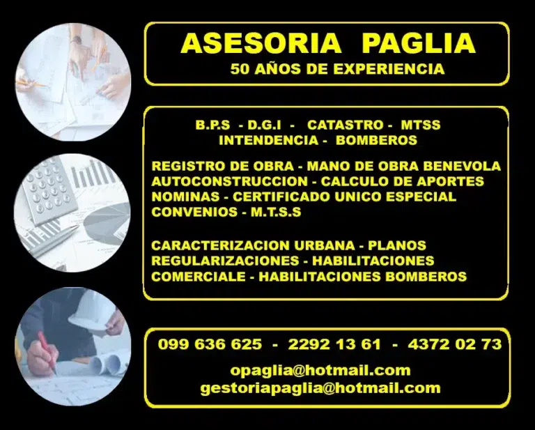 Asesoría Paglia
