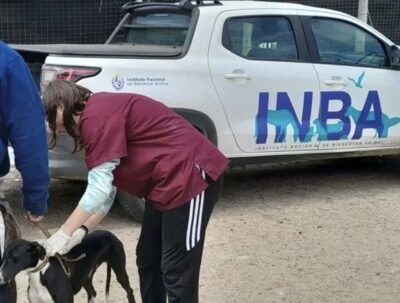 Esteban Vieta explicó avances, desafíos y el impacto del caso Rufo