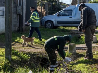 Realizan operativo de control de plagas en San Isidro y Talar