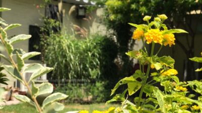 Tiempo soleado con aumento de la temperatura