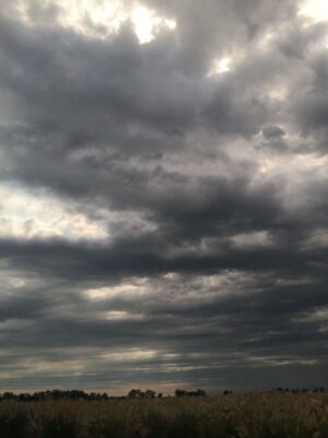 Tiempo inestable, húmedo y con lluvias