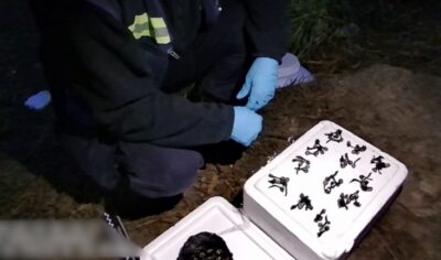 Incautaron más de 1.300 dosis de cocaína enterradas en Pinamar Norte